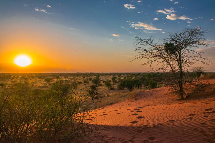 Kalahari Desert Sundowner
